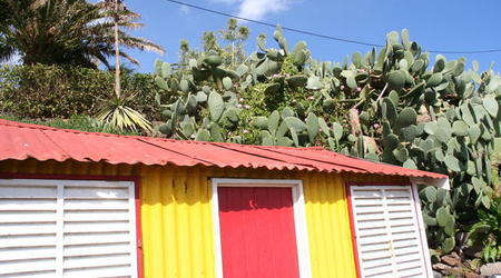 MADERA,FUNCHAL-FESTIWAL KWIATÓW – Portugalia