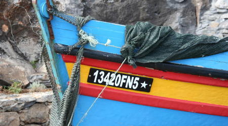 MADERA,FUNCHAL-FESTIWAL KWIATÓW – Portugalia