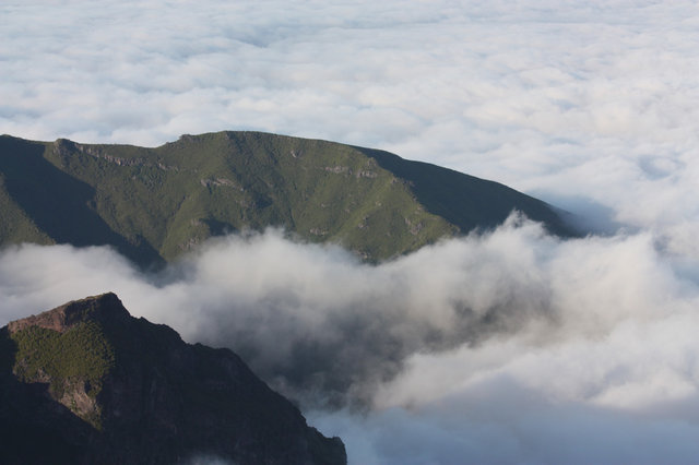 Madeira