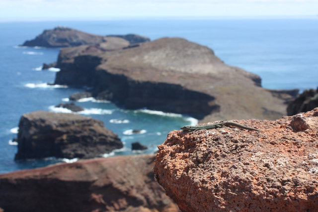 Madeira