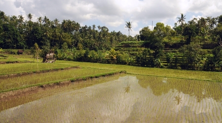 Bali – Indonezja