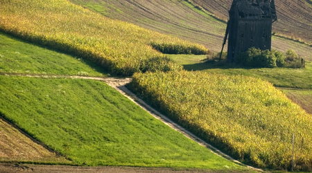 Stary wiatrak – Licheń, Polska