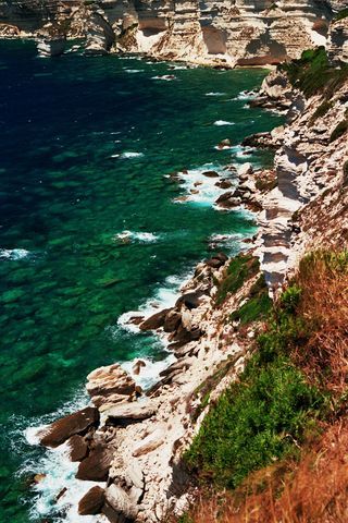 Bonifacio 1