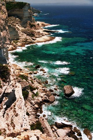 Bonifacio 2