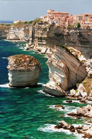 Bonifacio 7