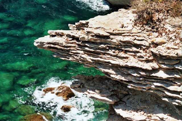 Bonifacio 11