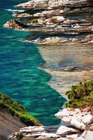 Bonifacio 12
