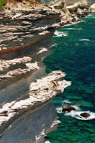 Bonifacio 13