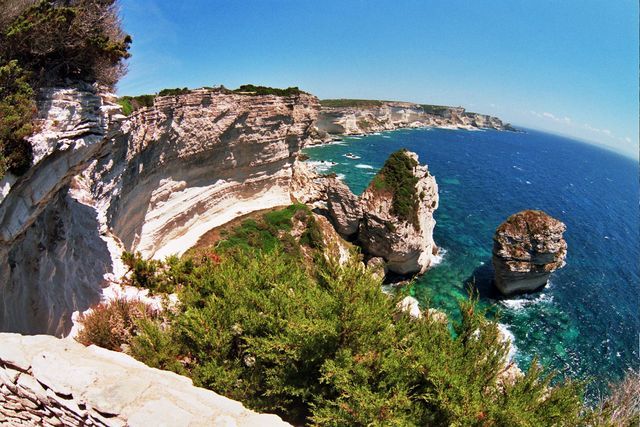 Bonifacio 15