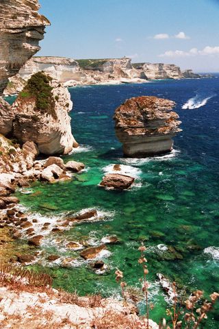 Bonifacio 16