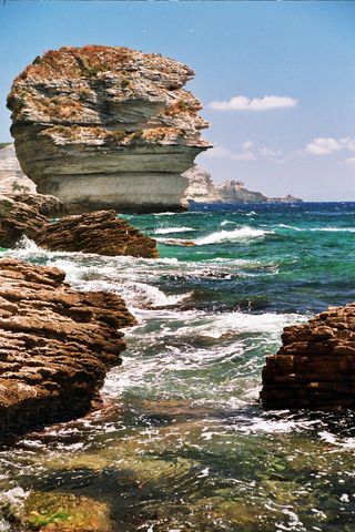 Bonifacio 19