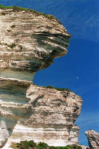 Bonifacio 22