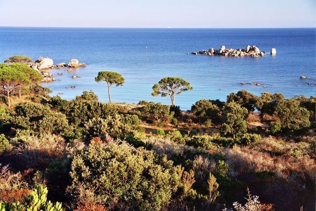 Palombaggia 2