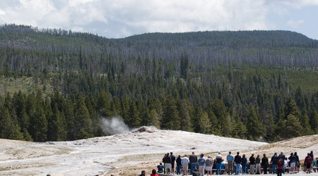 W oczekiwaniu – Park Narodowy Yellowstone, Stany Zjednoczone Ameryki
