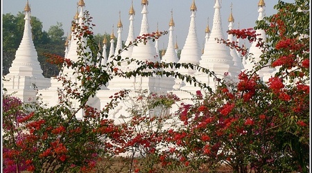Myanmar 0484 – Birma