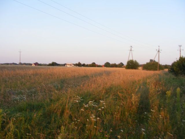 Pole sąsiadów