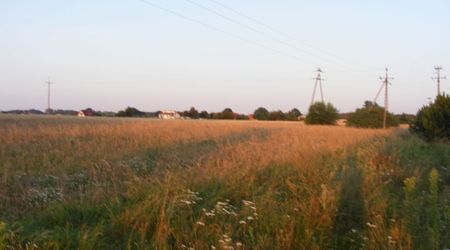 Pole sąsiadów – Rydzyny, Polska