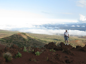 Big Island (Hawaii)