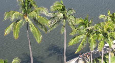 Oahu - Honolulu – Stany Zjednoczone Ameryki