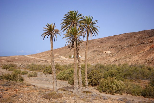Fuerteventura. Okolice wioski Ajuy