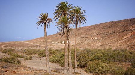 Fuerteventura. Okolice wioski Ajuy – Hiszpania