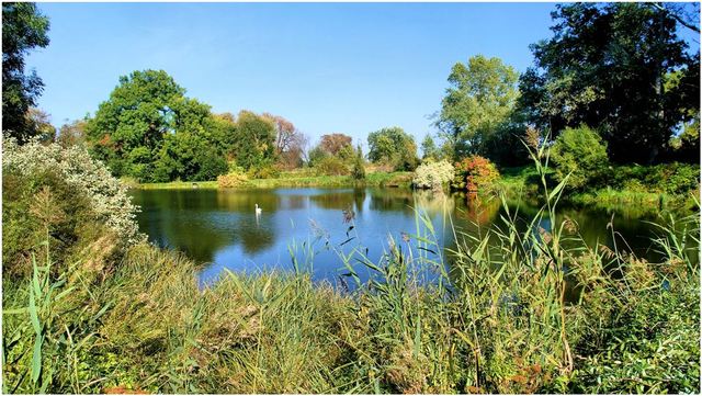 Przelewice 3