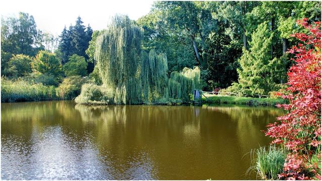 Przelewice 21