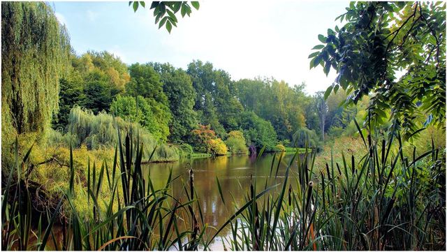 Przelewice 28