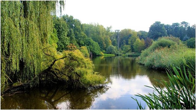 Przelewice 29