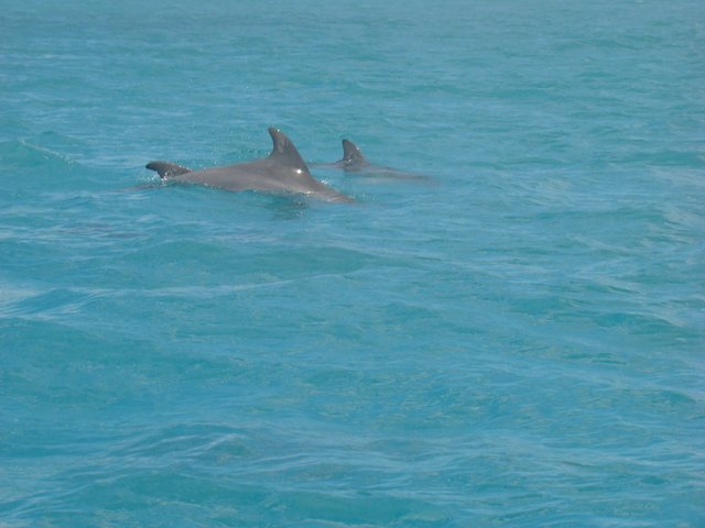 Jamaica