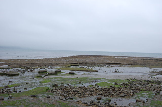 Lyme