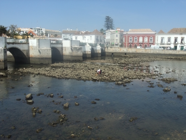 Tavira - most romański