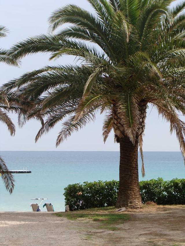 ...tylko kaczuszki brak