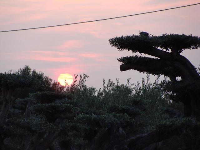 niedzielny wschód słońca... podczas 8km spacerku :)