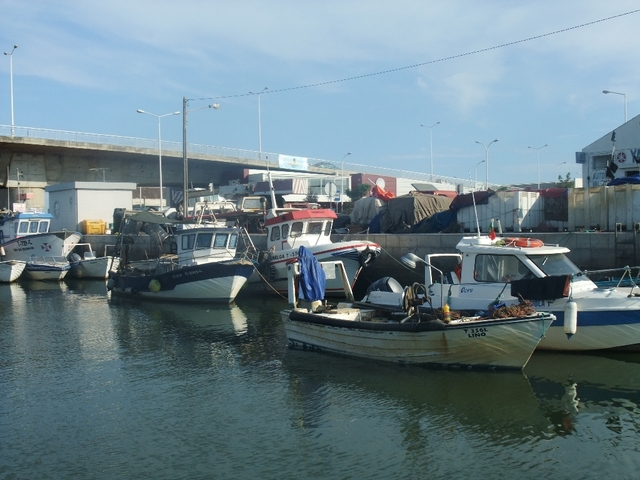Tavira