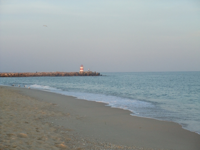 Ilha de Tavira