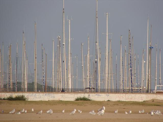 las masztów