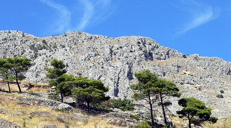 11 – Duće luka, Chorwacja