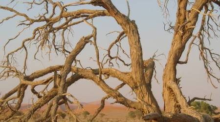 Wydmy Sossusvlei – Namibia
