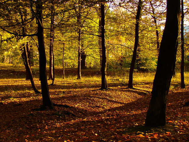 W promieniach słońca 