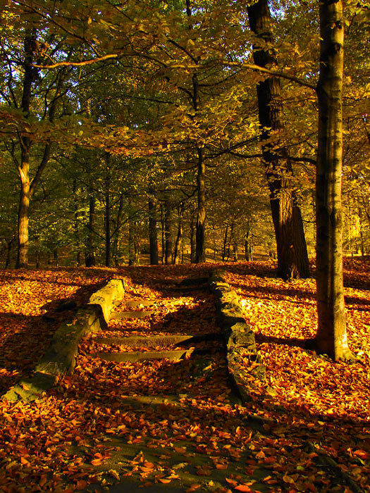 W promieniach słońca 