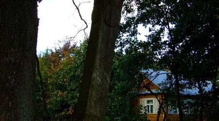Klejniki – Polska