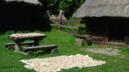 Górnośląski Park Etnograficzny – Chorzów, Polska