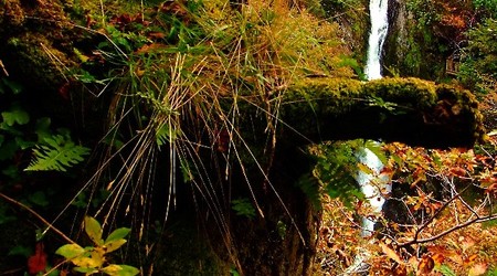 Wodospady Devil's Bridge – Wielka Brytania