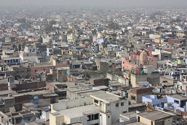 Dachy Delhi