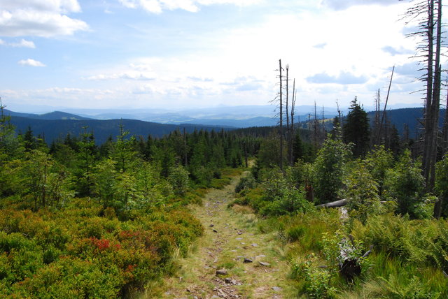 Beskid Żywiecki