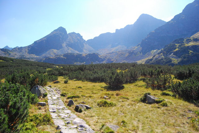 Tatry - hala gąsienicowa