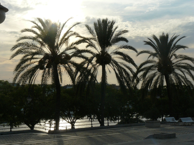 Sewilla, Andaluzja, Hiszpania