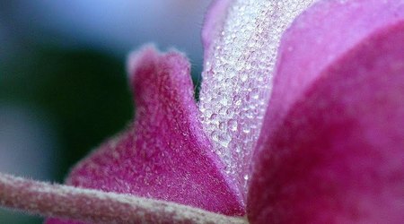 wrocławski ogród botaniczny jesiennie 6 – Polska