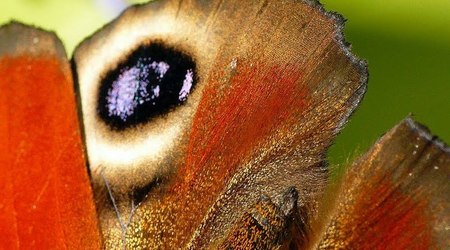 wrocławski ogród botaniczny jesiennie 7 – Polska